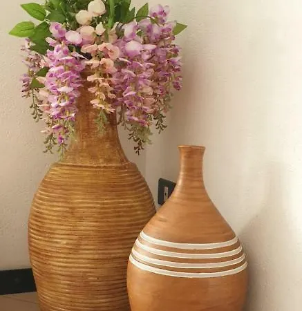 Continental 3* Cattolica